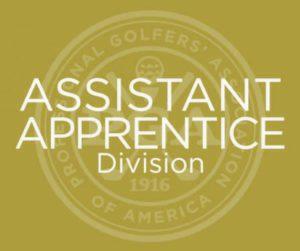 Assistant Apprentice Division