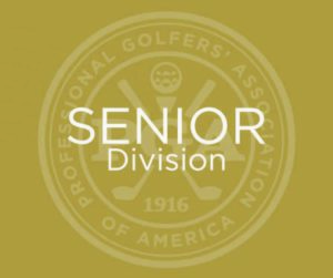 Senior Division